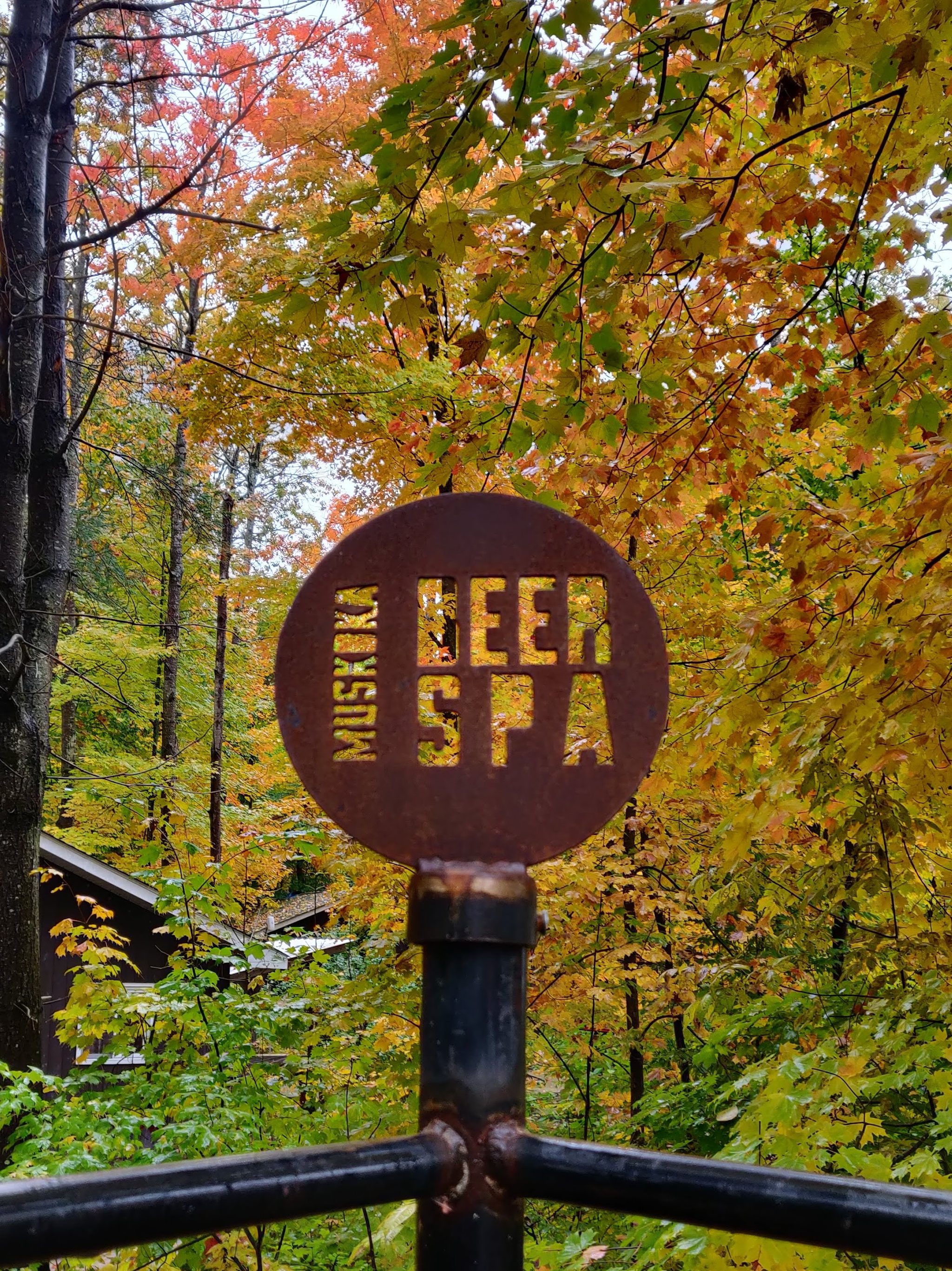 A sign for the Muskoka Beer Spa, cut into a round steel disk and attached like a finial to the corner of a fence. In the background (and through the sign) you can see the changing colours of the hardwood forest leaves. 